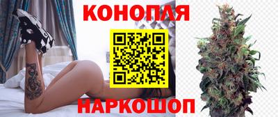 сатива Усть-Илимск