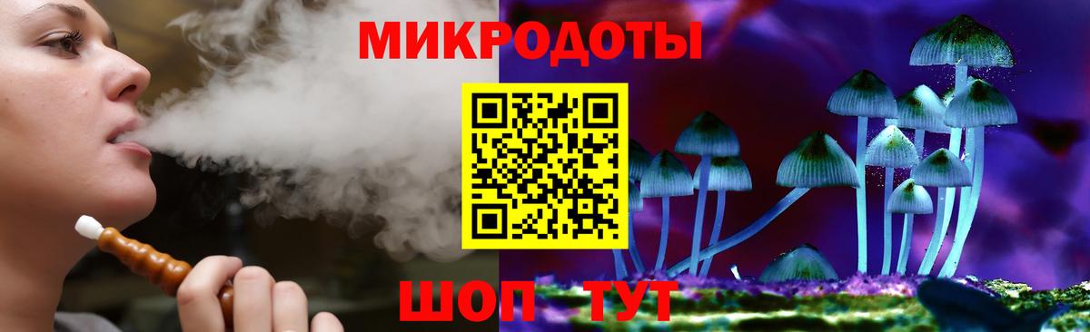 Искитим  Галлюциногенные грибы прущие грибы  Вход с VPN 